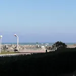 Palm