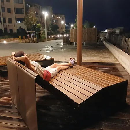 Palm * 르발카레스